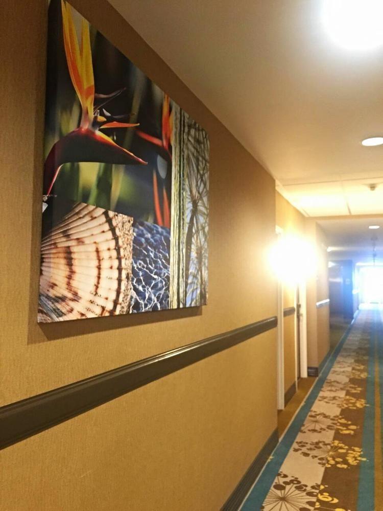 Country Walk Best Western Plus Miami Executive Airport Hotel And Suites מראה חיצוני תמונה