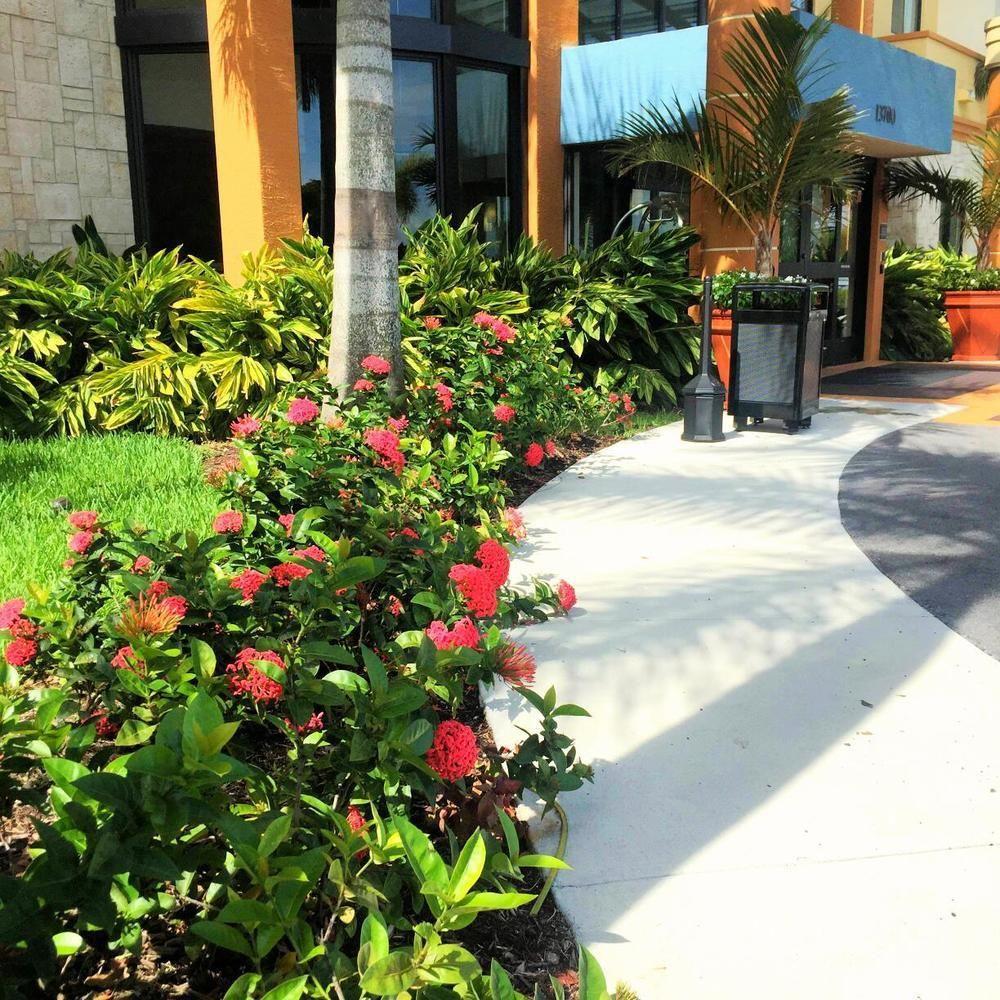 Country Walk Best Western Plus Miami Executive Airport Hotel And Suites מראה חיצוני תמונה